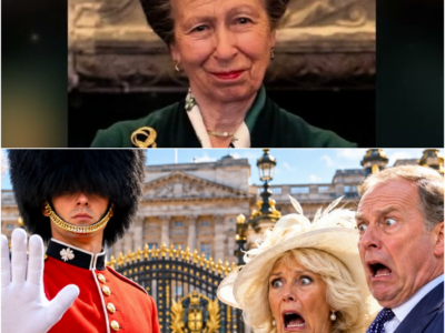Ele não é bem-vindo! Anne expulsou o filho de Camilla do palácio para sempre – H