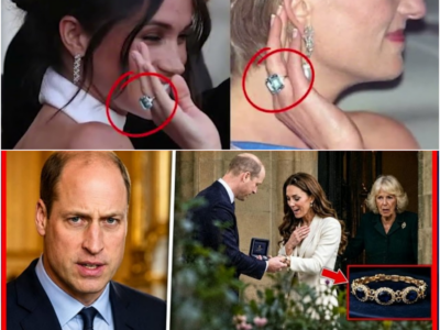 Porque é que a “pulseira” de Diana acabou com Camilla? A resposta que William não deixou passar – H