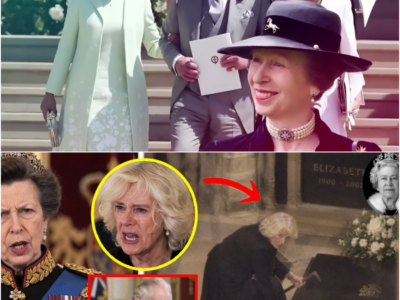 “O QUE É QUE ELA FEZ AO TÚMULO DA RAINHA?!” Anne apanha Camilla – Charles DESTRÓI o seu plano PERTURBADOR – H
