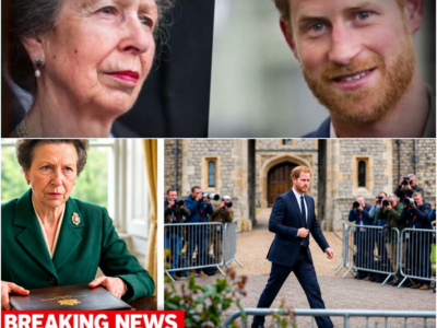 Princesa Anne Desmascara Plano Secreto de Harry para Escola no Reino Unido – H