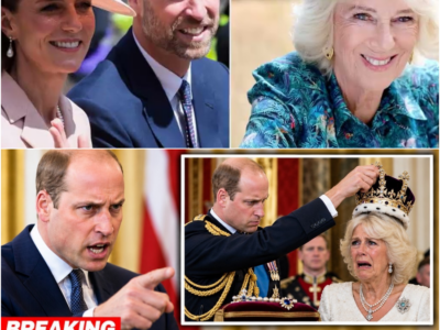 Chega! William assina ordem de emergência retirando a Camilla todos os privilégios relacionados com as Joias da Coroa – H