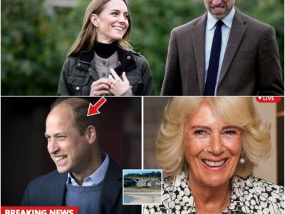 William e Catherine estabelecem-se numa propriedade histórica nas Ilhas Scilly! Camilla ficou sem palavras. -H