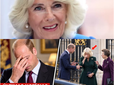 Princesa Anne e William Revelam Mudanças Ligadas a Diana Que Abalam o Futuro de Camilla na Realeza – H