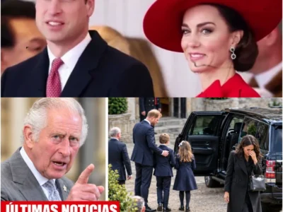 Palácio CONFIRMA: Carlos APOIA o divórcio de Harry e Meghan — e fica pálido — H