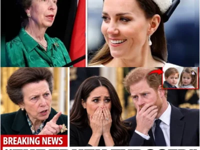 Princesa Anne REVELA a VERDADE sobre Archie e Lilibet — Harry e Meghan ficam COMPLETAMENTE ATÓNITOS! – H