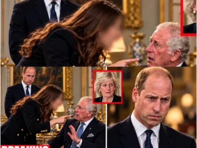 Irmã secreta de William confronta o rei Carlos sobre Diana — O Palácio silencia – H